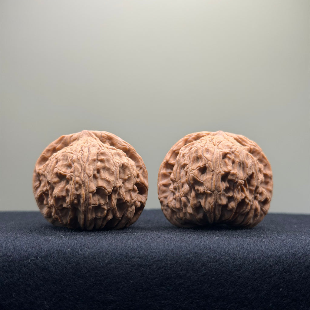 Red Lion Wenwan Walnut · 39mm · Natural · Entry Ritual