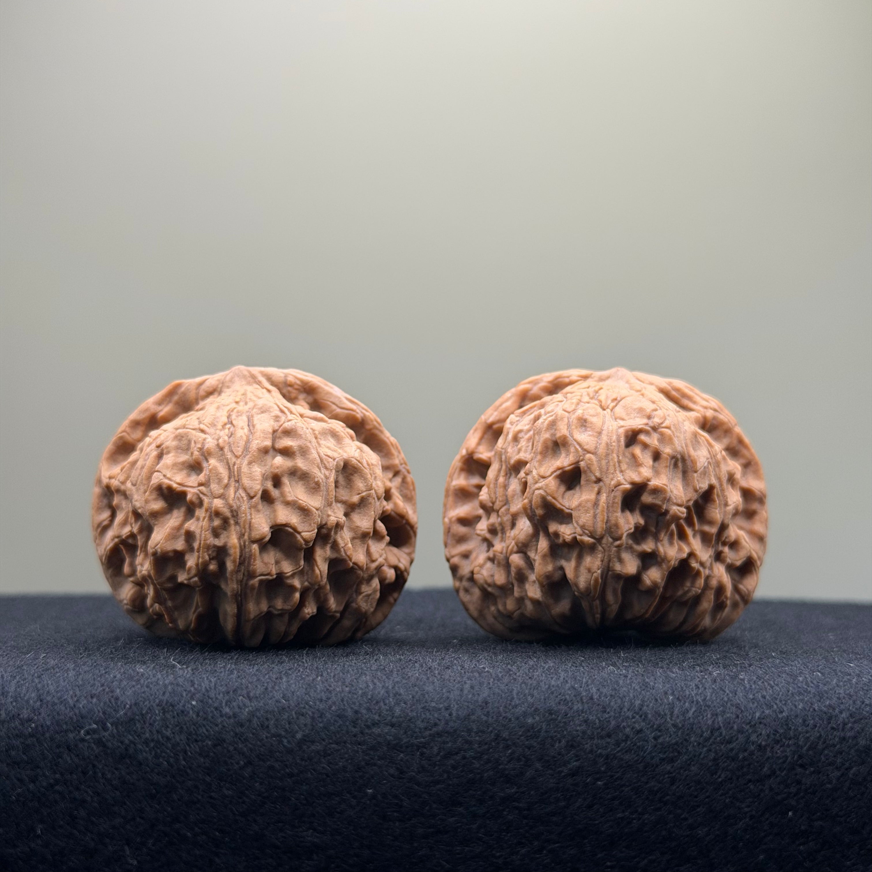 Red Lion Wenwan Walnut · 39mm · Natural · Entry Ritual