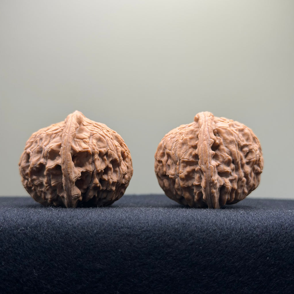 Red Lion Wenwan Walnut · 39mm · Natural · Entry Ritual