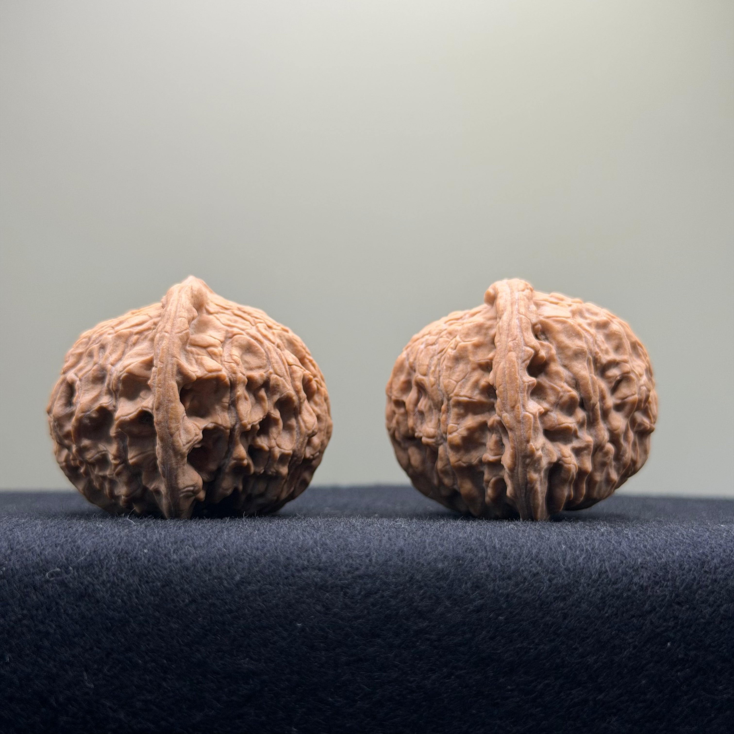 Red Lion Wenwan Walnut · 39mm · Natural · Entry Ritual