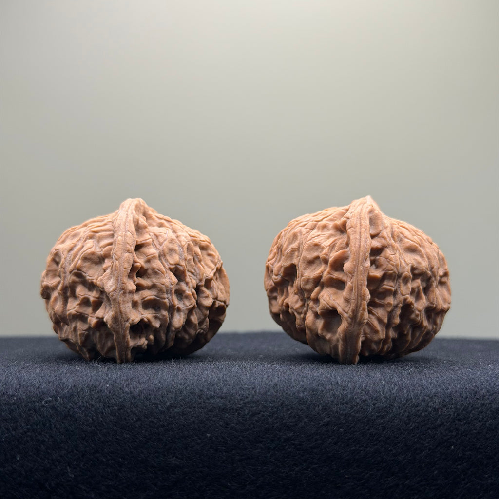Red Lion Wenwan Walnut · 39mm · Natural · Entry Ritual