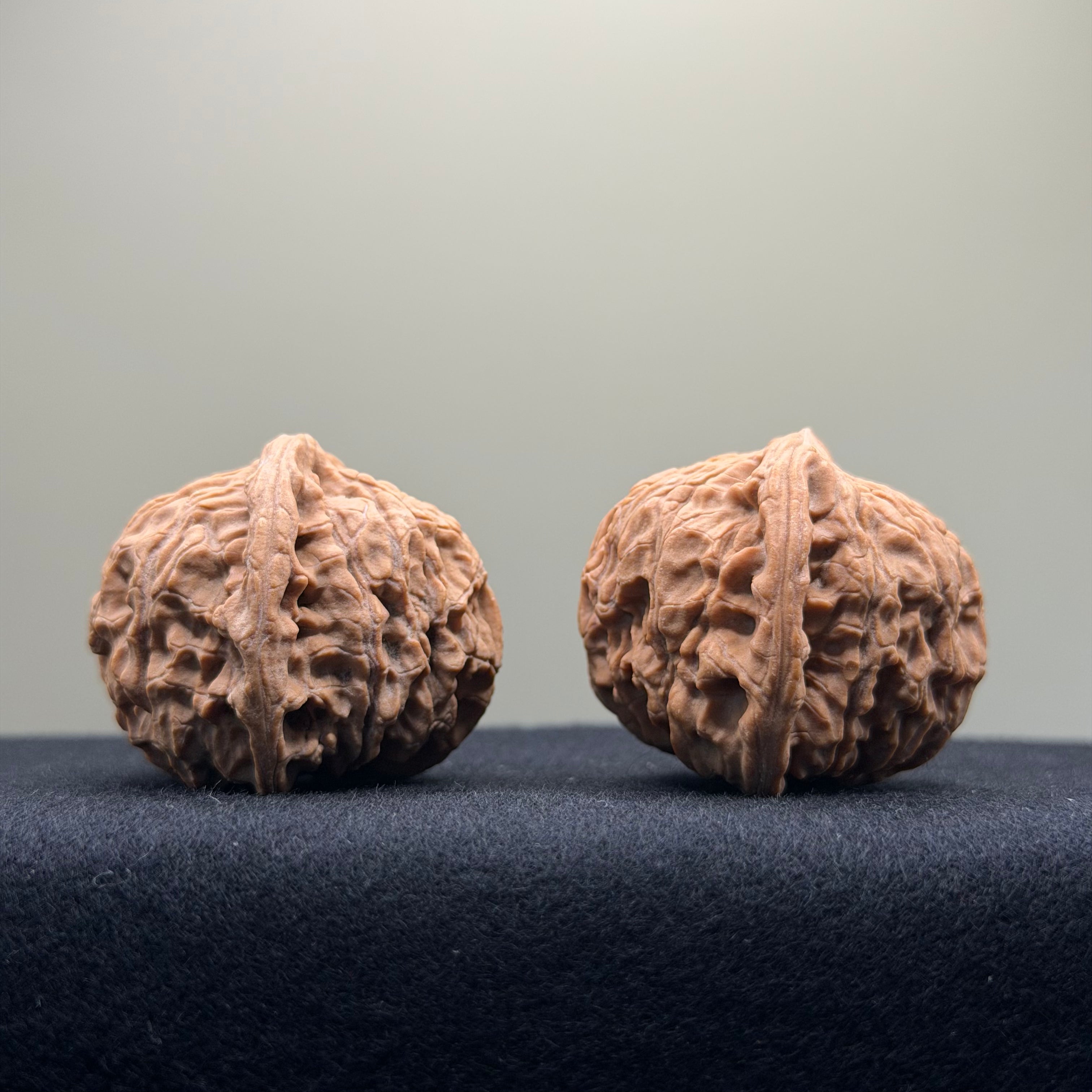Red Lion Wenwan Walnut · 39mm · Natural · Entry Ritual