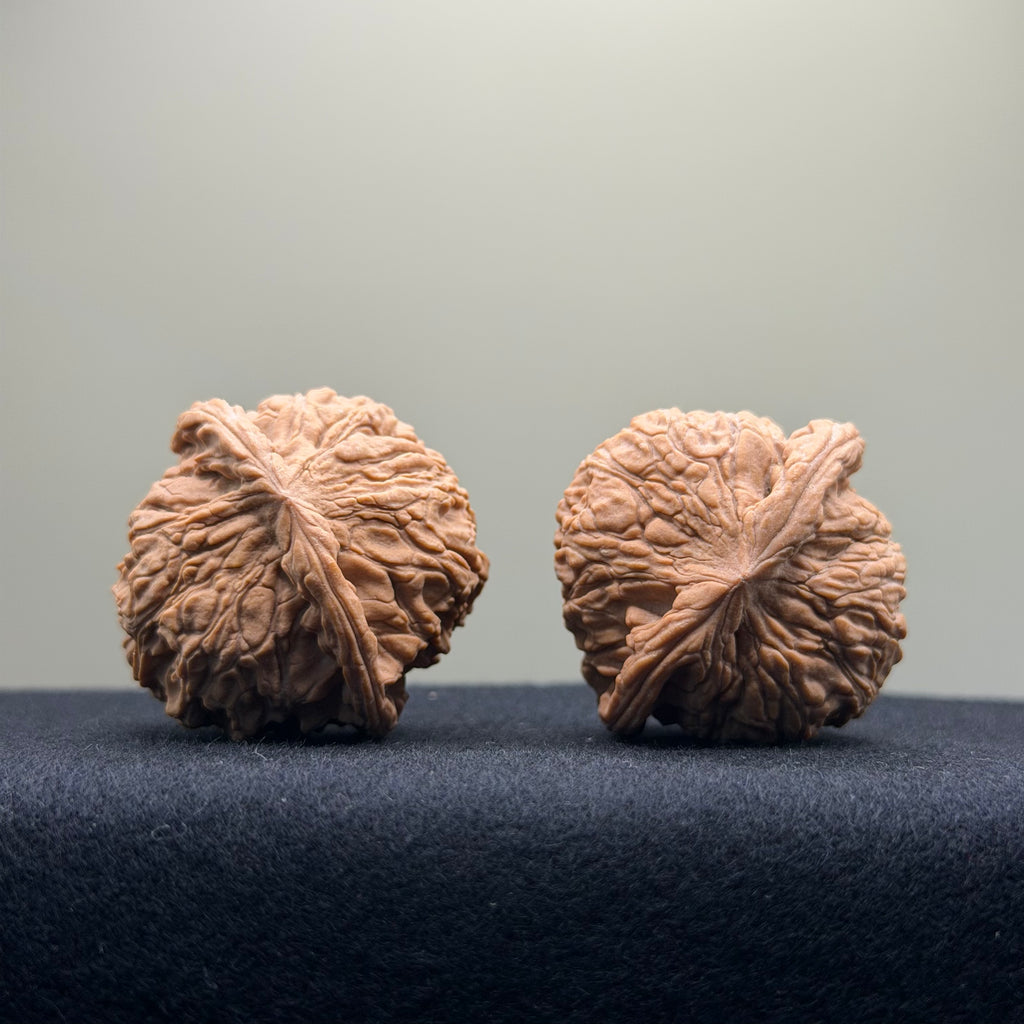 Red Lion Wenwan Walnut · 39mm · Natural · Entry Ritual