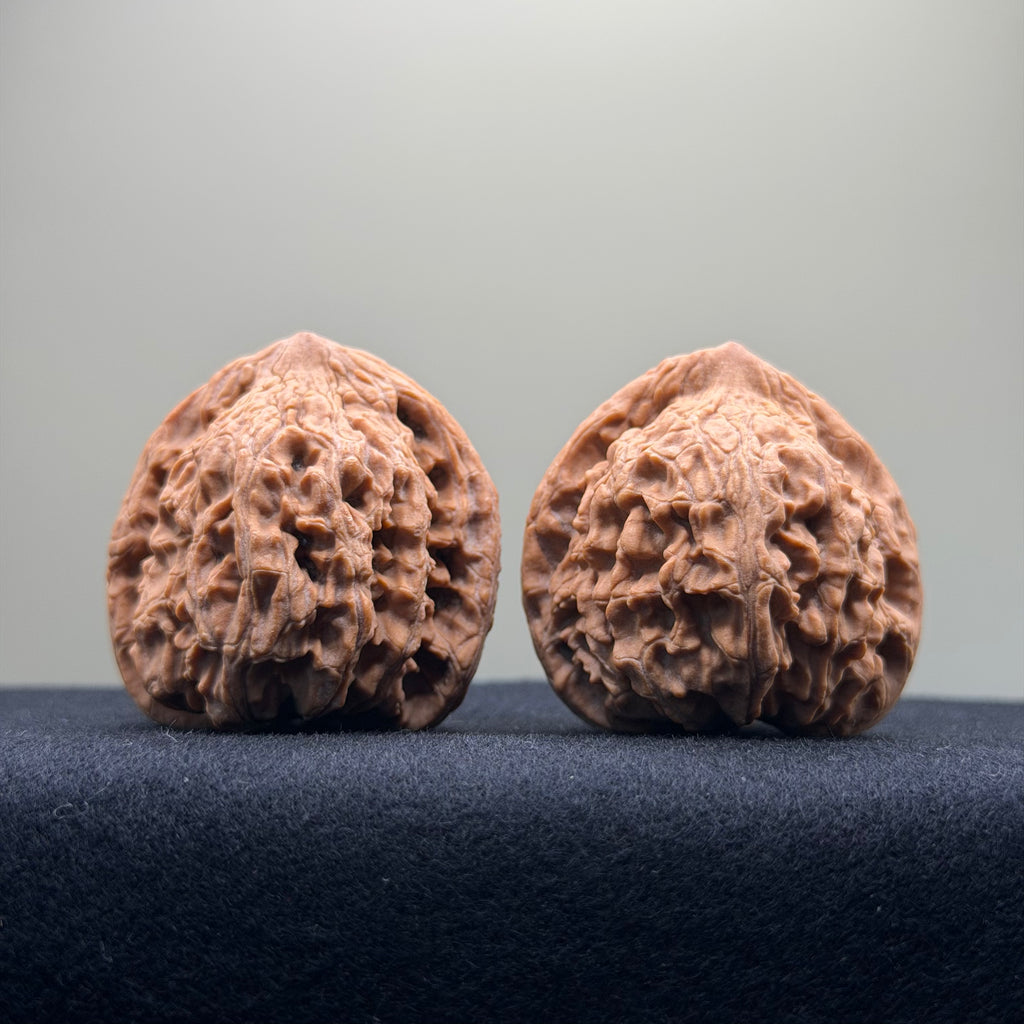 Red Lion Wenwan Walnut · 40mm · Natural · Entry Ritual