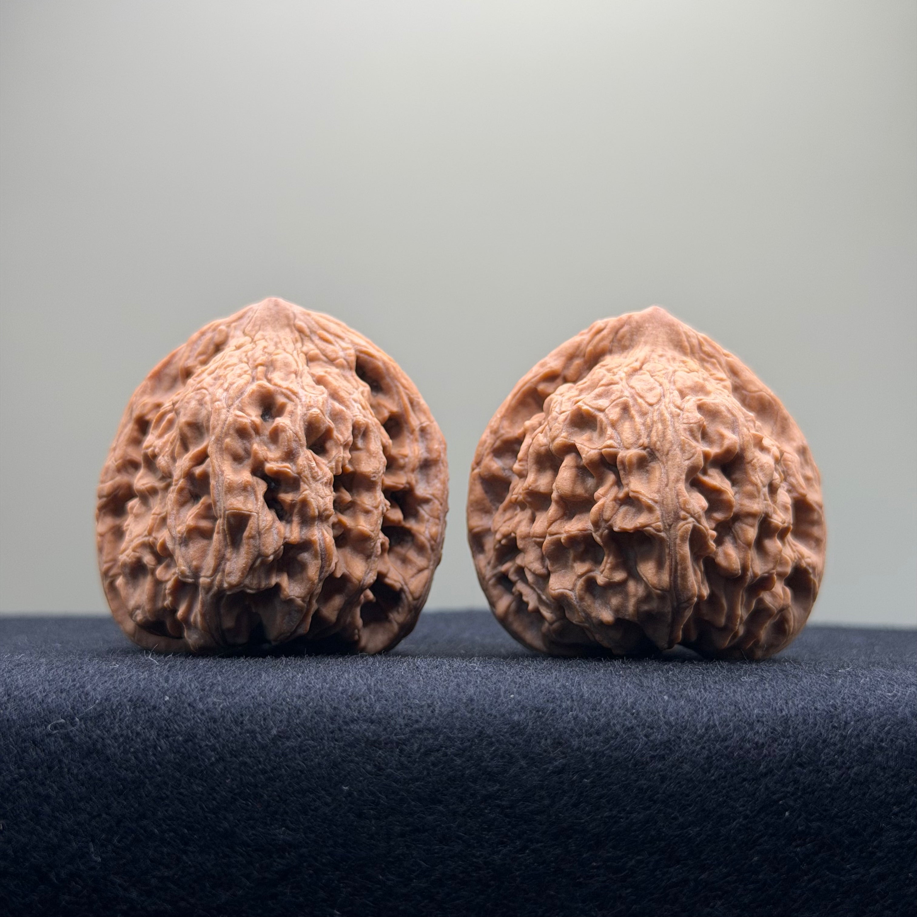 Red Lion Wenwan Walnut · 40mm · Natural · Entry Ritual