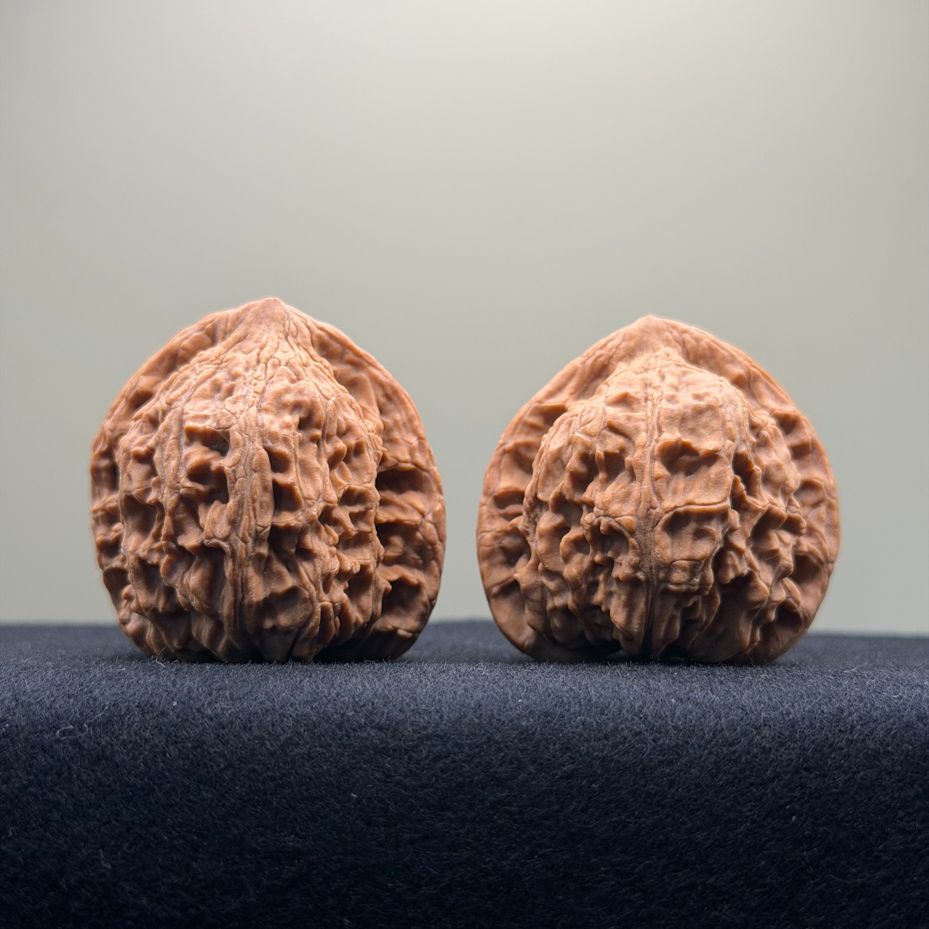 Red Lion Wenwan Walnut · 40mm · Natural · Entry Ritual