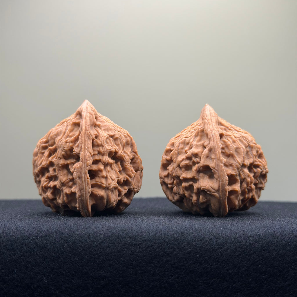 Red Lion Wenwan Walnut · 40mm · Natural · Entry Ritual
