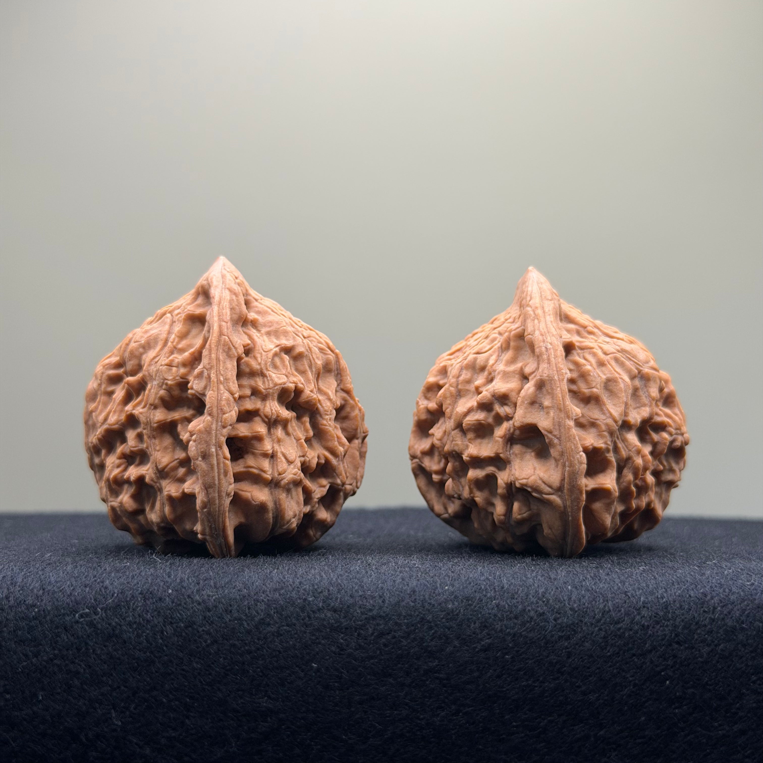 Red Lion Wenwan Walnut · 40mm · Natural · Entry Ritual