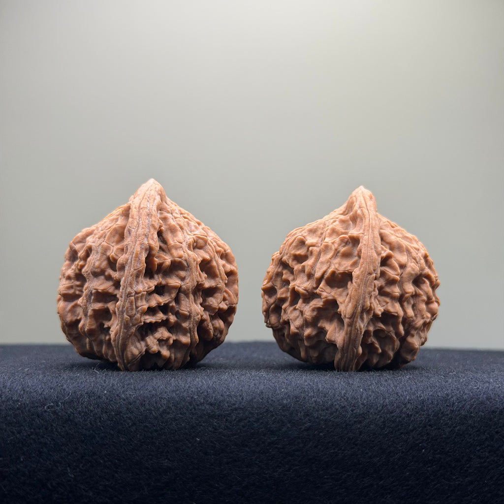 Red Lion Wenwan Walnut · 40mm · Natural · Entry Ritual