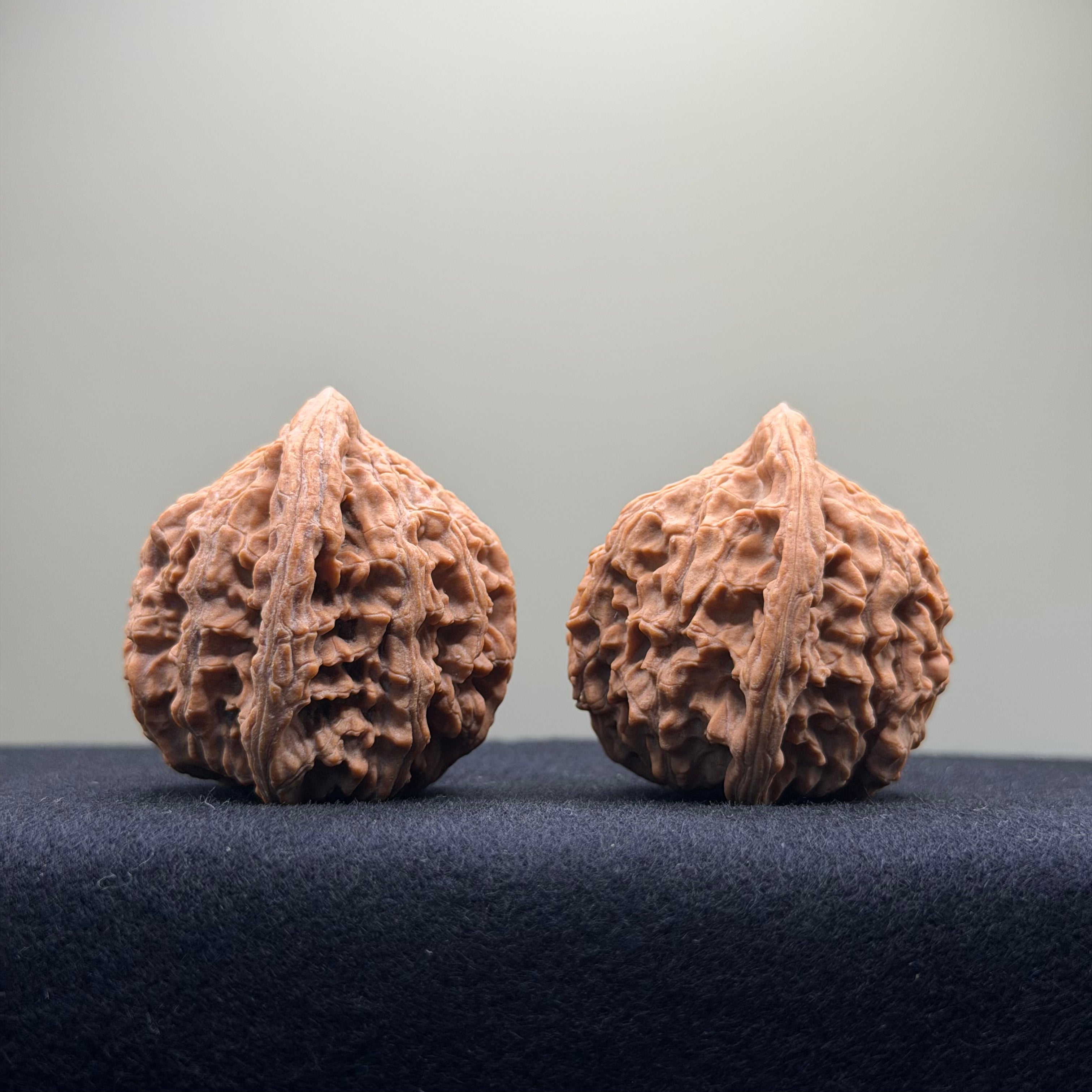 Red Lion Wenwan Walnut · 40mm · Natural · Entry Ritual