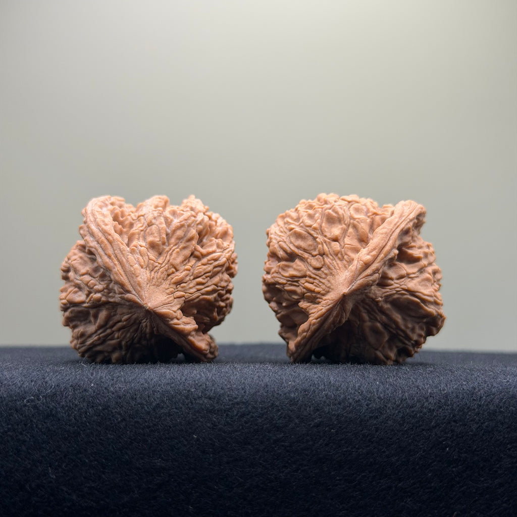 Red Lion Wenwan Walnut · 40mm · Natural · Entry Ritual