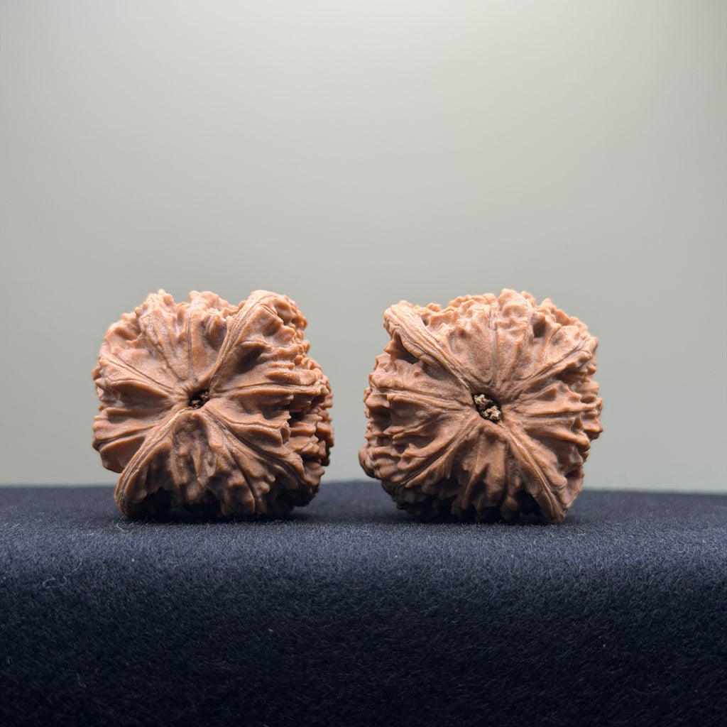 Red Lion Wenwan Walnut · 40mm · Natural · Entry Ritual