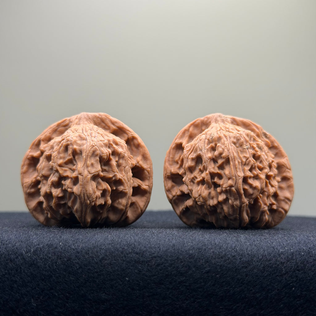 Red Lion Wenwan Walnut · 39mm · Natural · Entry Ritual