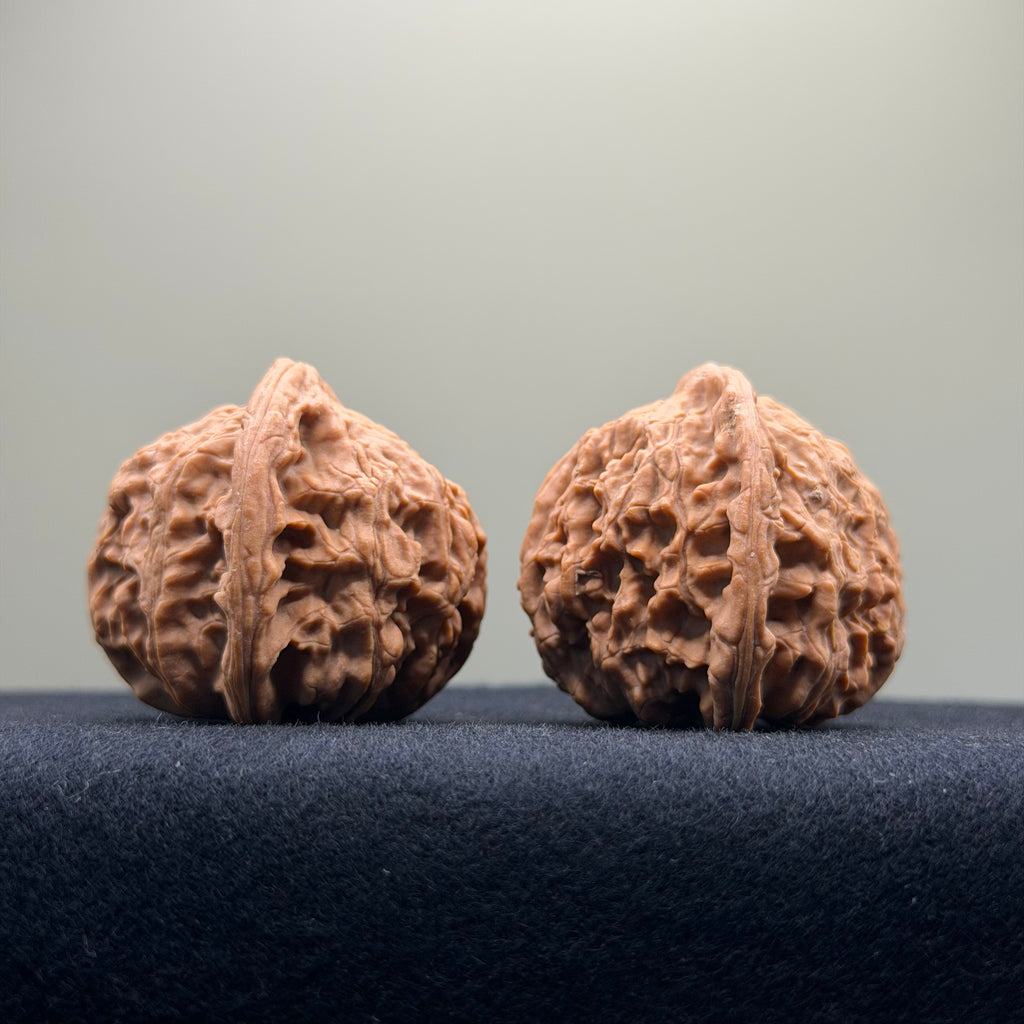 Red Lion Wenwan Walnut · 39mm · Natural · Entry Ritual