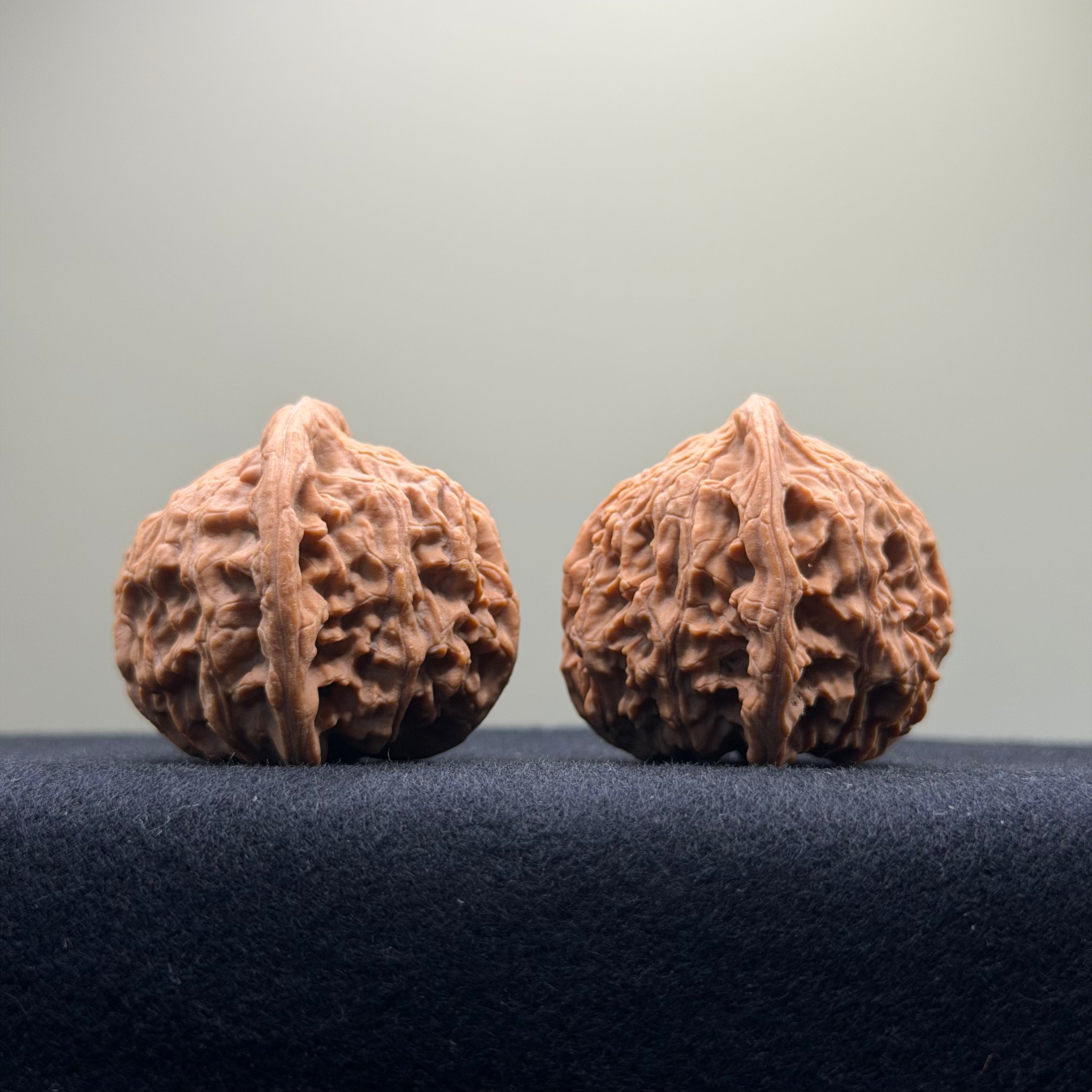 Red Lion Wenwan Walnut · 39mm · Natural · Entry Ritual