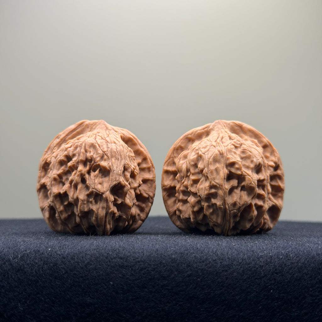 Red Lion Wenwan Walnut · 38mm · Natural · Entry Ritual