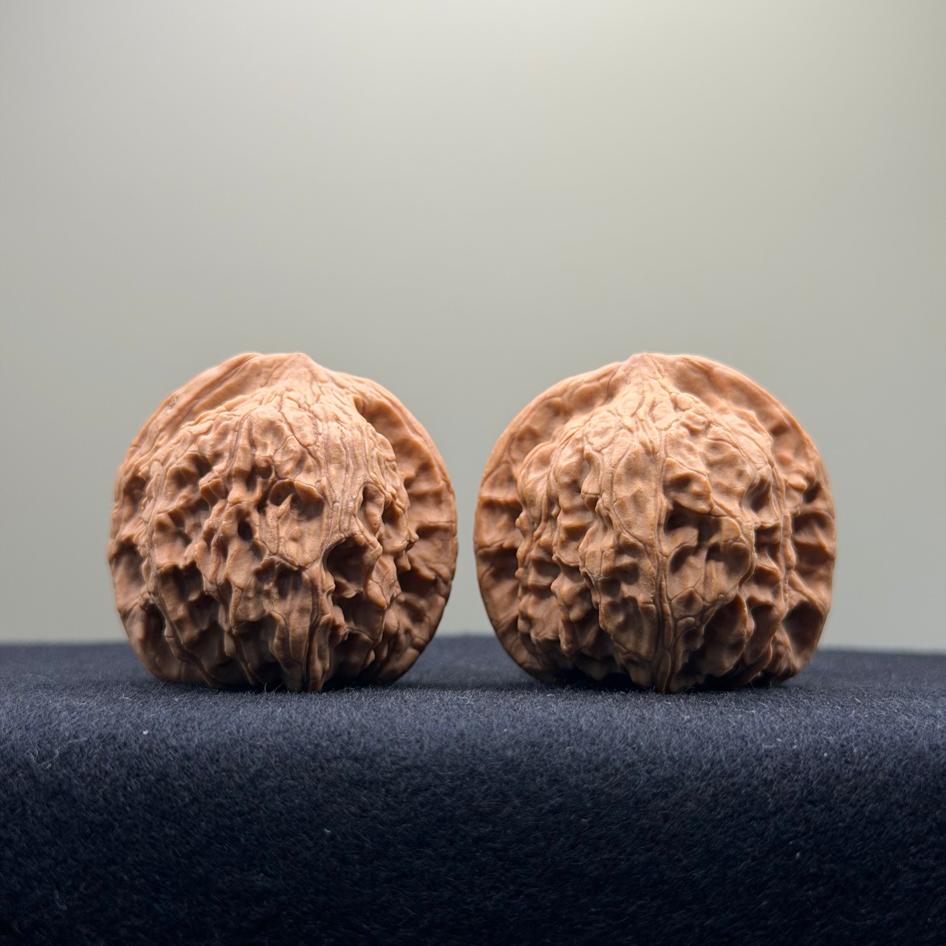 Red Lion Wenwan Walnut · 38mm · Natural · Entry Ritual