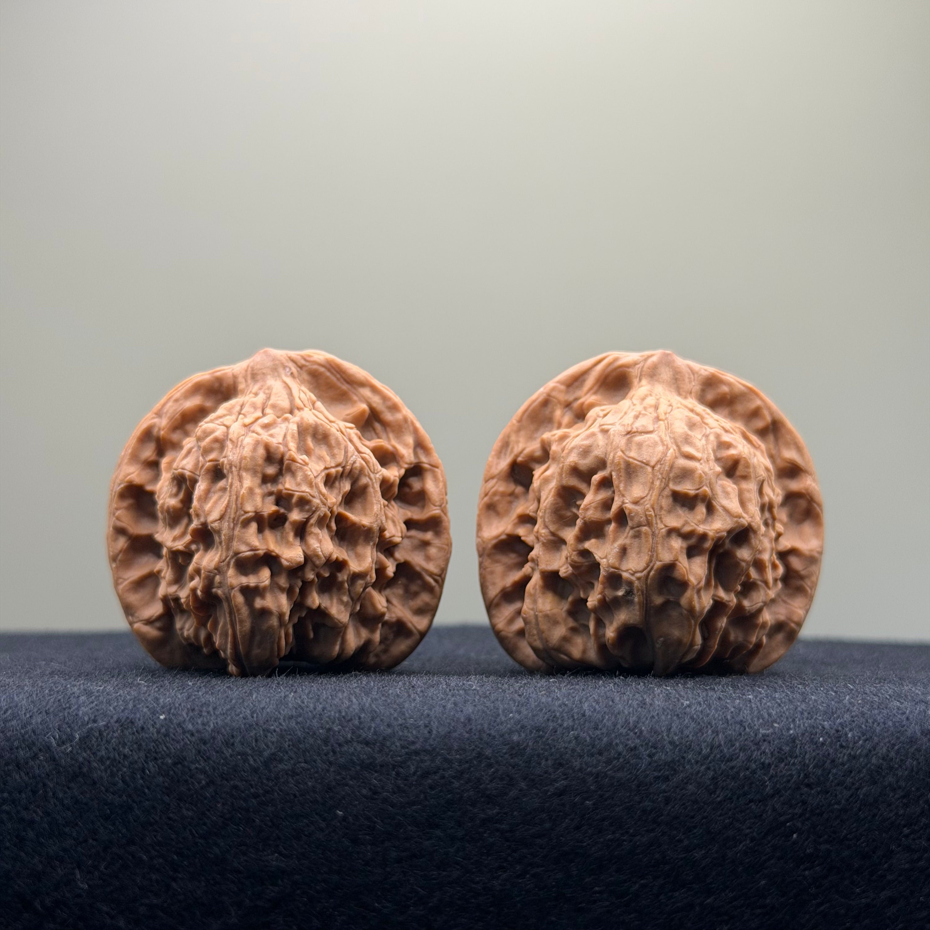 Red Lion Wenwan Walnut · 38mm · Natural · Entry Ritual