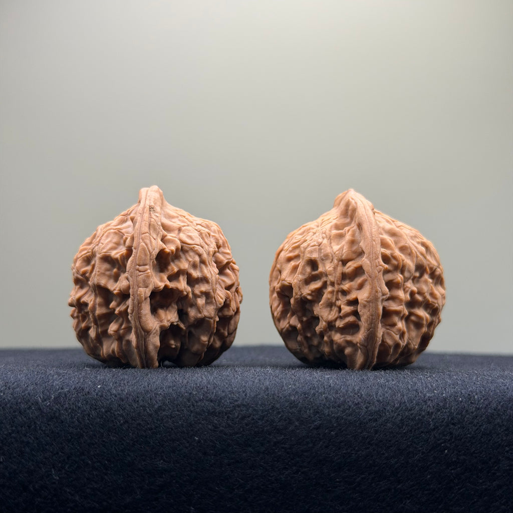 Red Lion Wenwan Walnut · 38mm · Natural · Entry Ritual