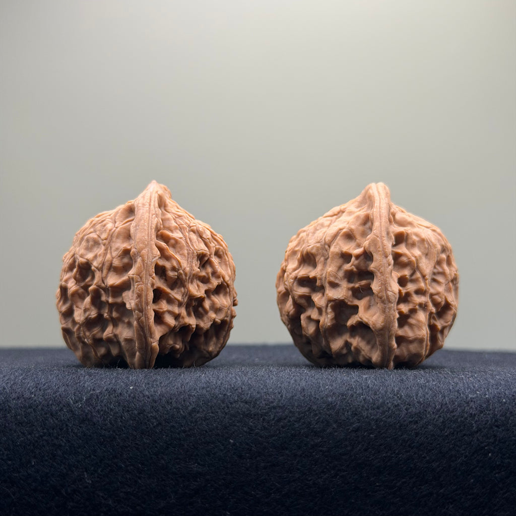 Red Lion Wenwan Walnut · 38mm · Natural · Entry Ritual