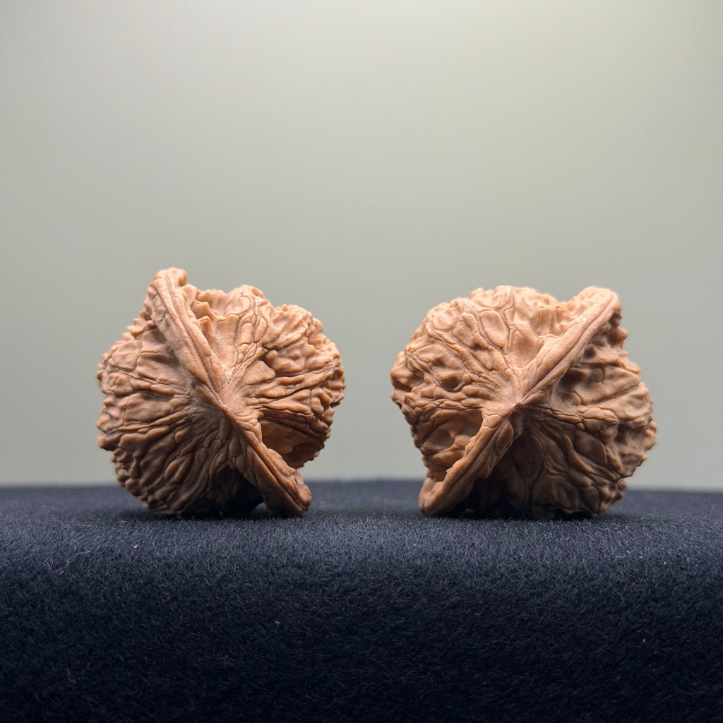 Red Lion Wenwan Walnut · 38mm · Natural · Entry Ritual