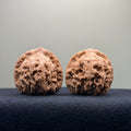 Red Lion Wenwan Walnut · 37mm · Natural · Entry Ritual