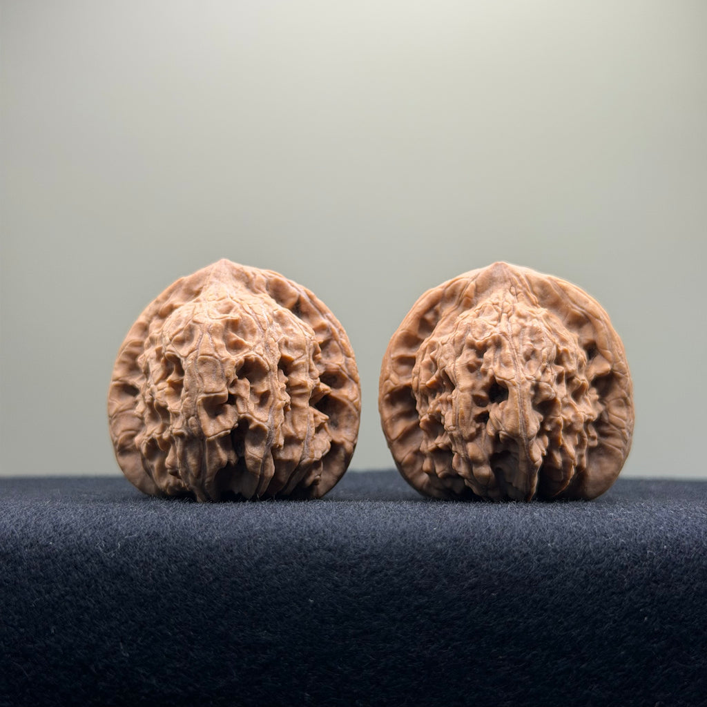 Red Lion Wenwan Walnut · 37mm · Natural · Entry Ritual