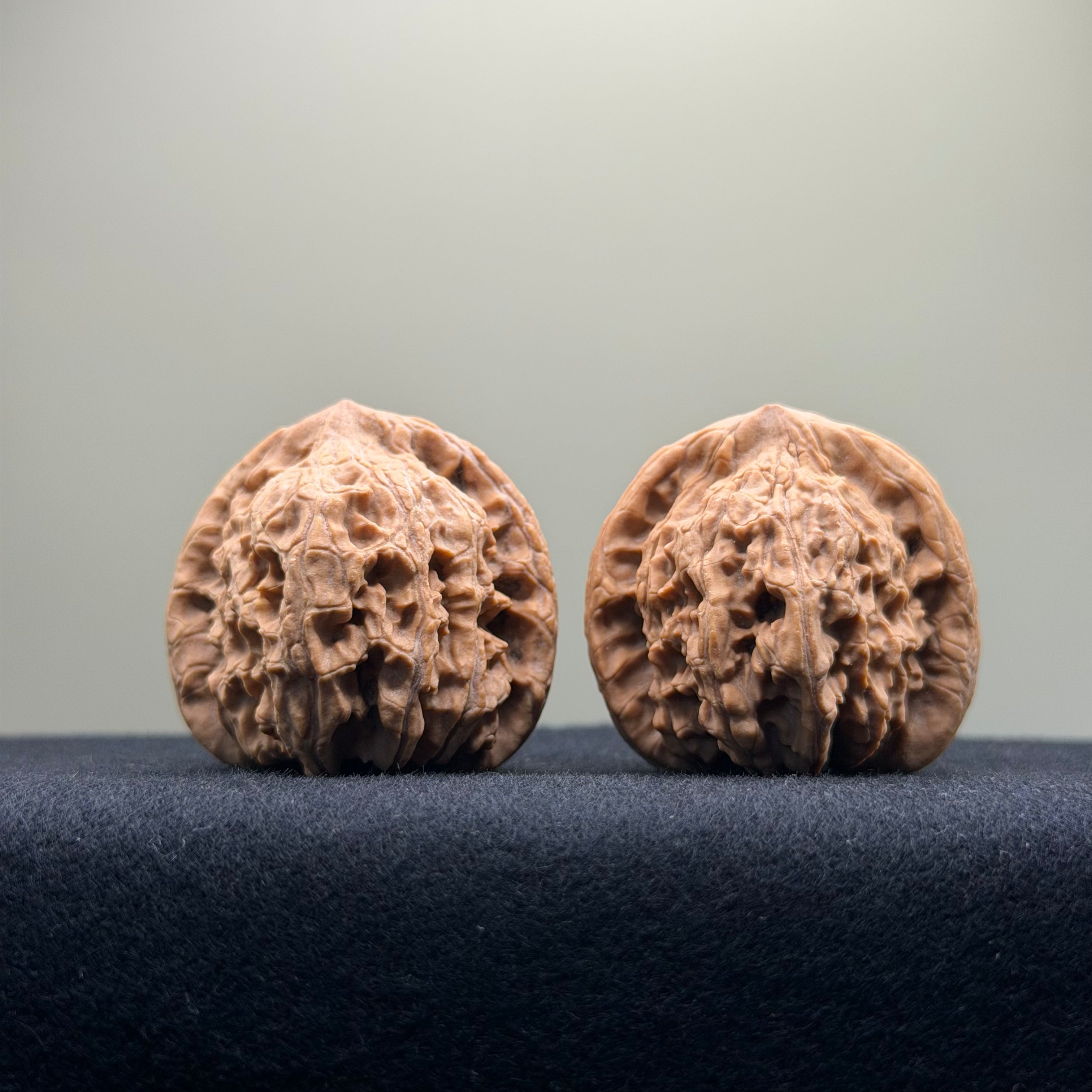 Red Lion Wenwan Walnut · 37mm · Natural · Entry Ritual