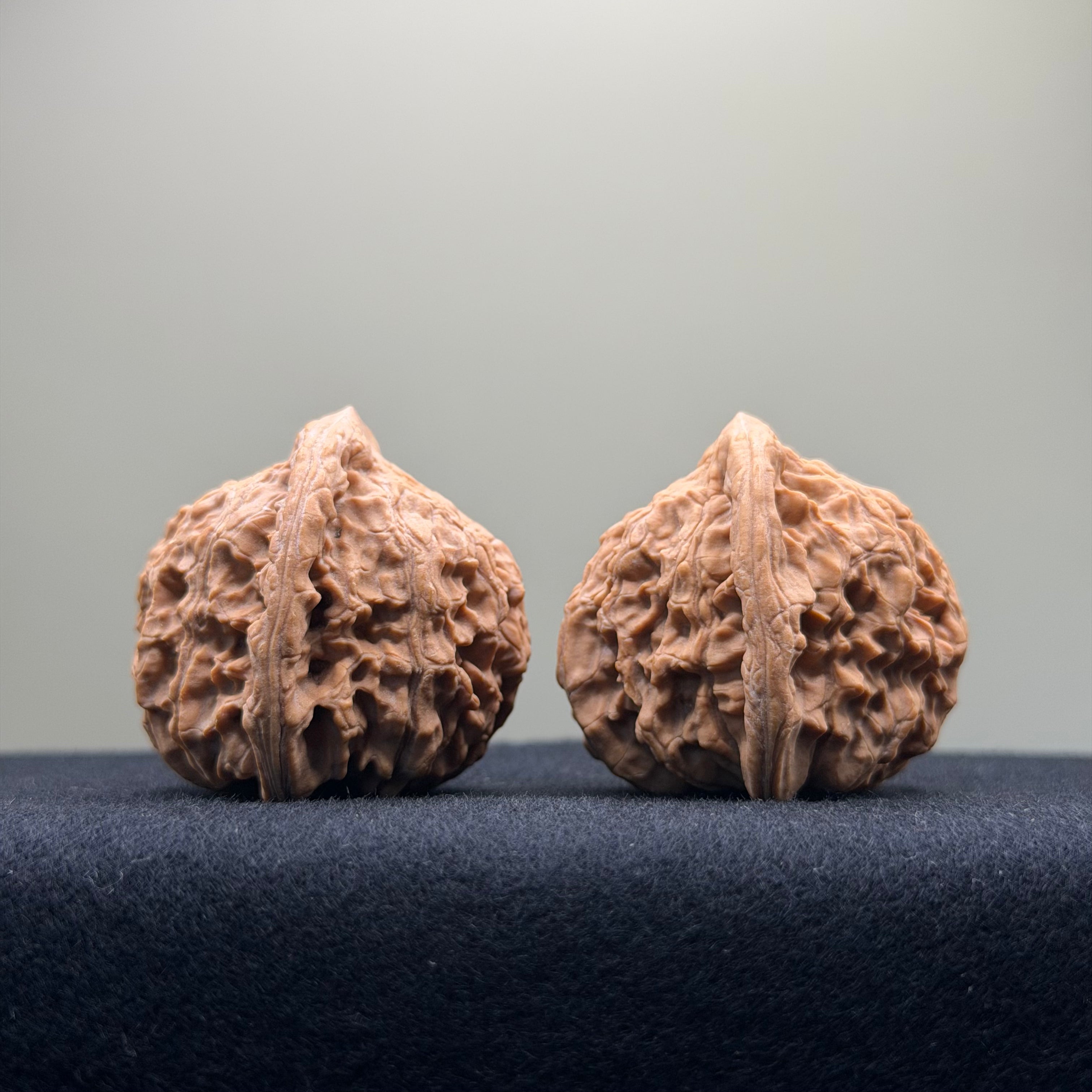 Red Lion Wenwan Walnut · 37mm · Natural · Entry Ritual