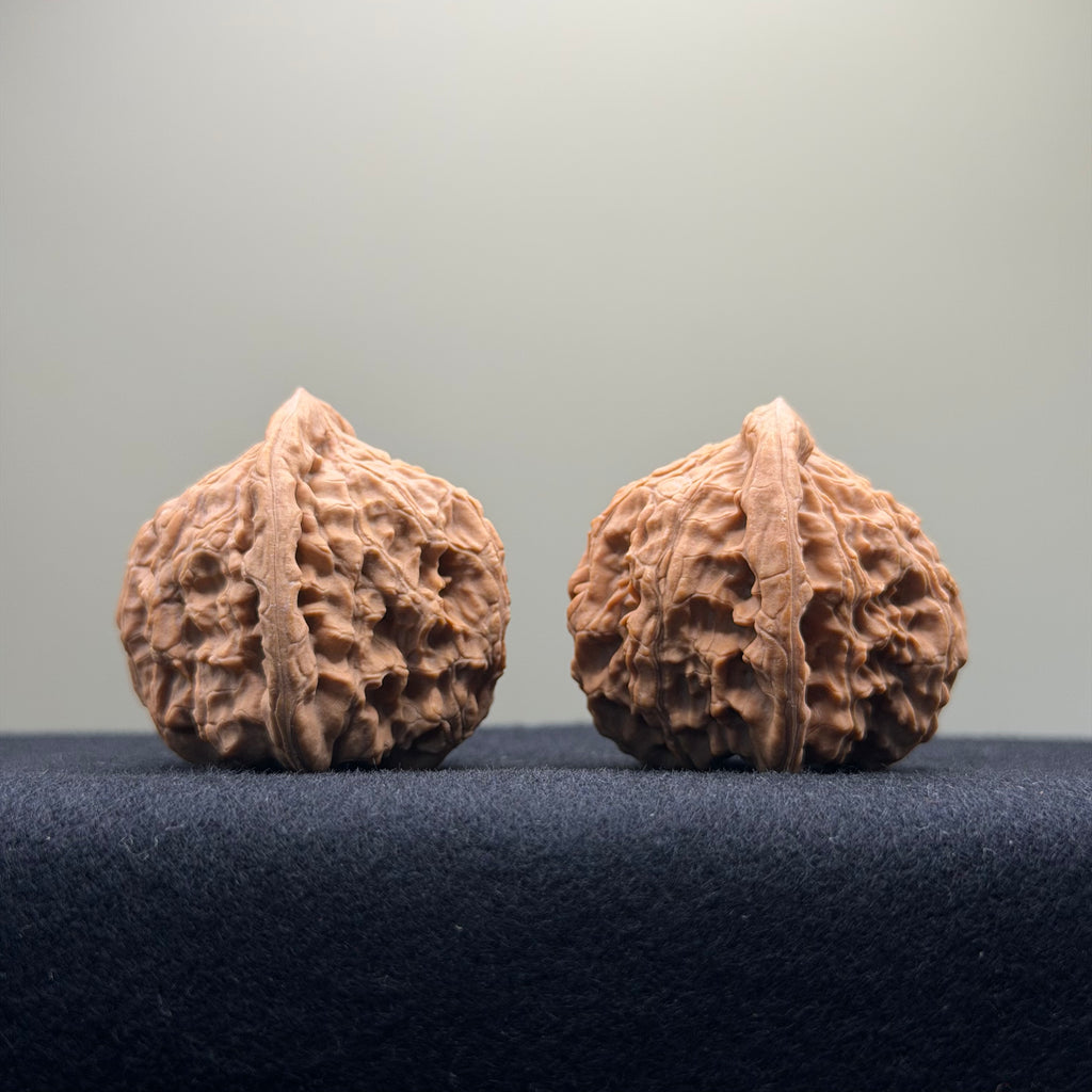 Red Lion Wenwan Walnut · 37mm · Natural · Entry Ritual