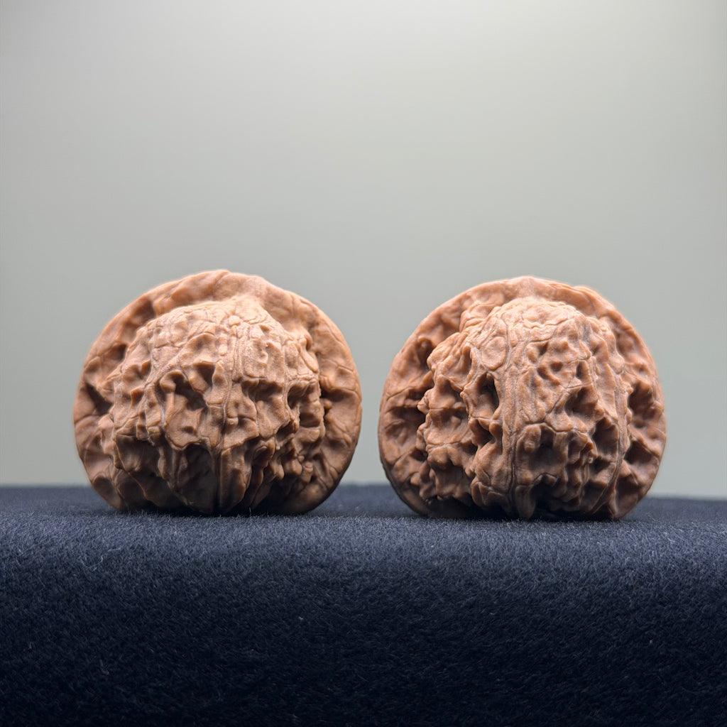Red Lion Wenwan Walnut · 40mm · Natural · Entry Ritual