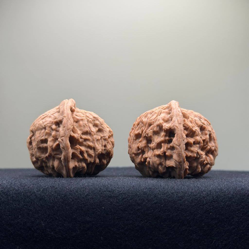 Red Lion Wenwan Walnut · 40mm · Natural · Entry Ritual