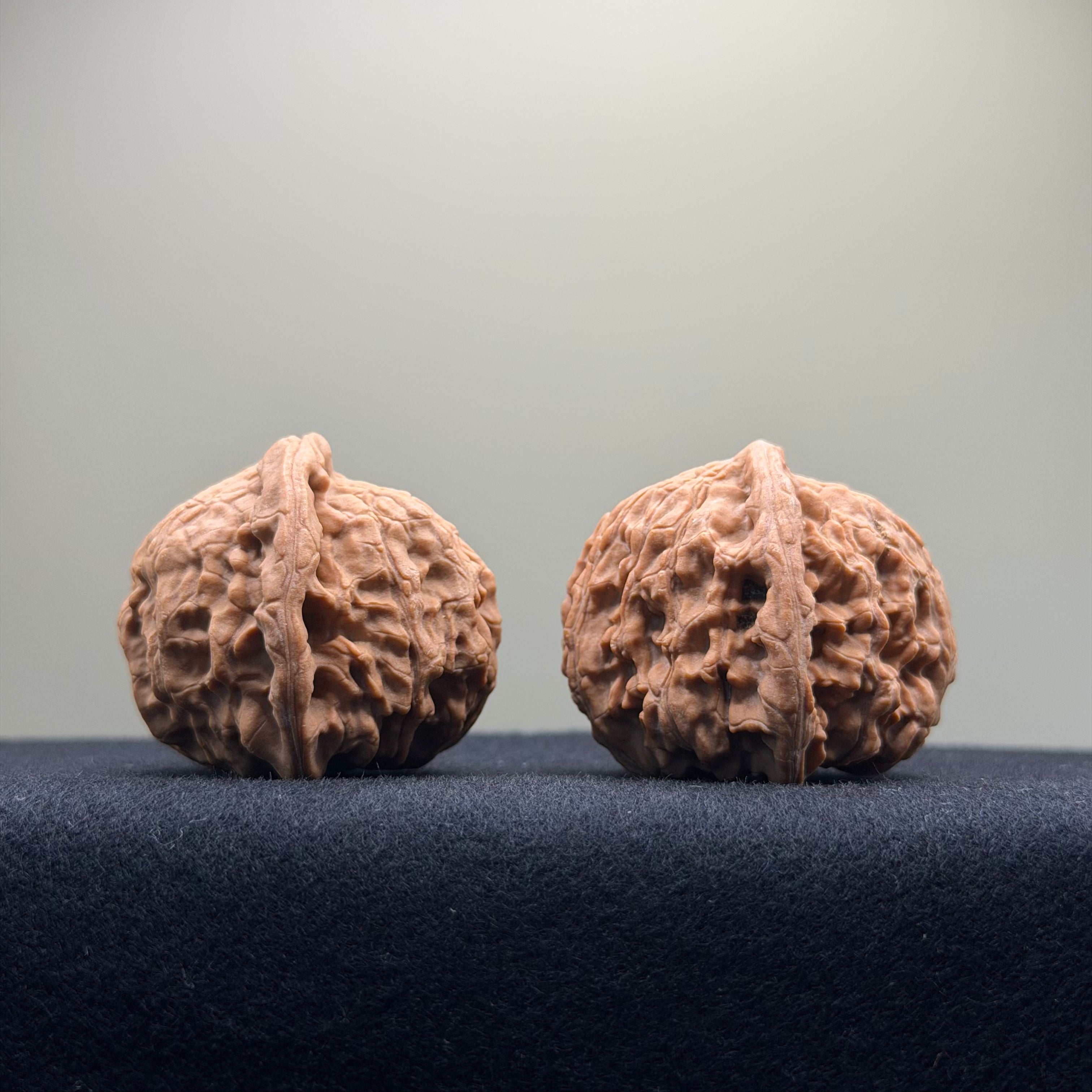 Red Lion Wenwan Walnut · 40mm · Natural · Entry Ritual