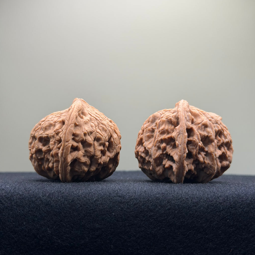 Red Lion Wenwan Walnut · 40mm · Natural · Entry Ritual