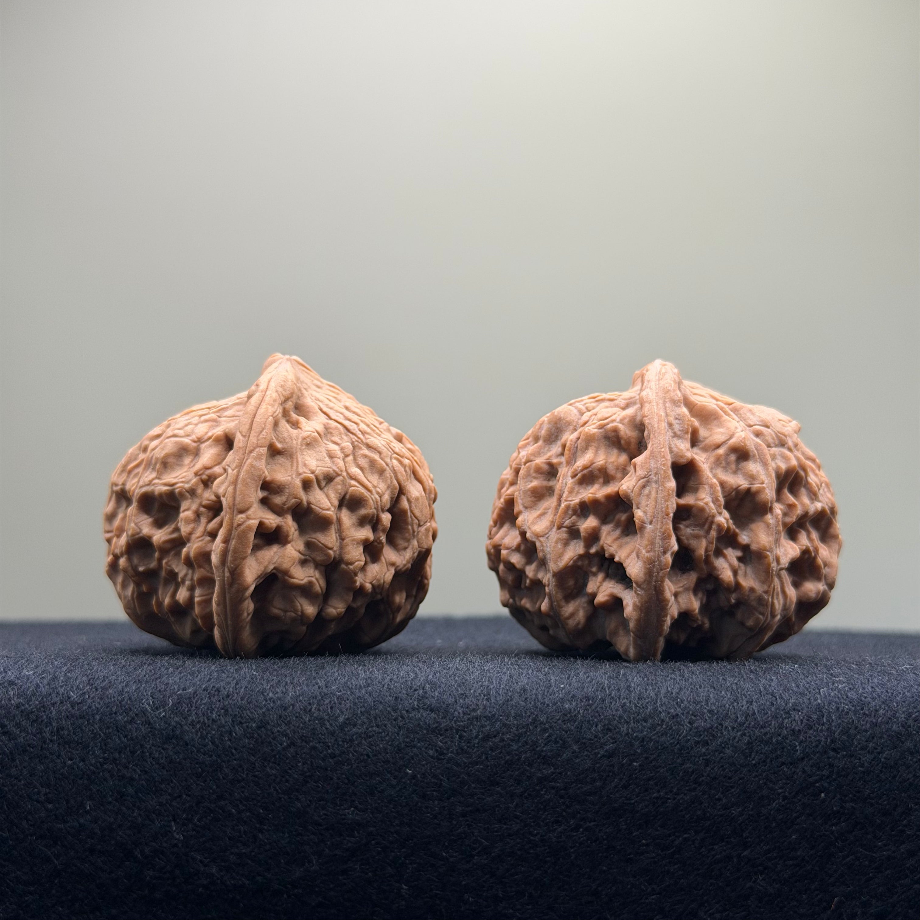 Red Lion Wenwan Walnut · 40mm · Natural · Entry Ritual
