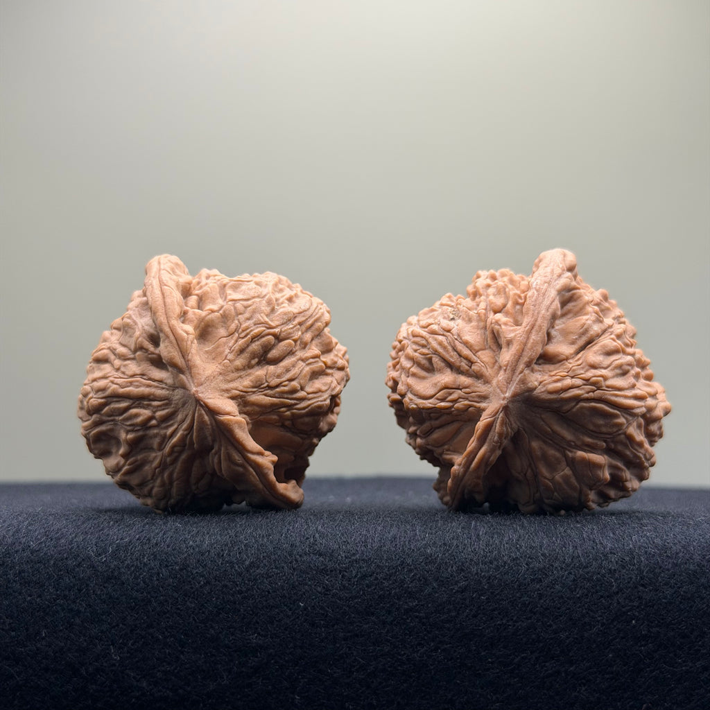 Red Lion Wenwan Walnut · 40mm · Natural · Entry Ritual