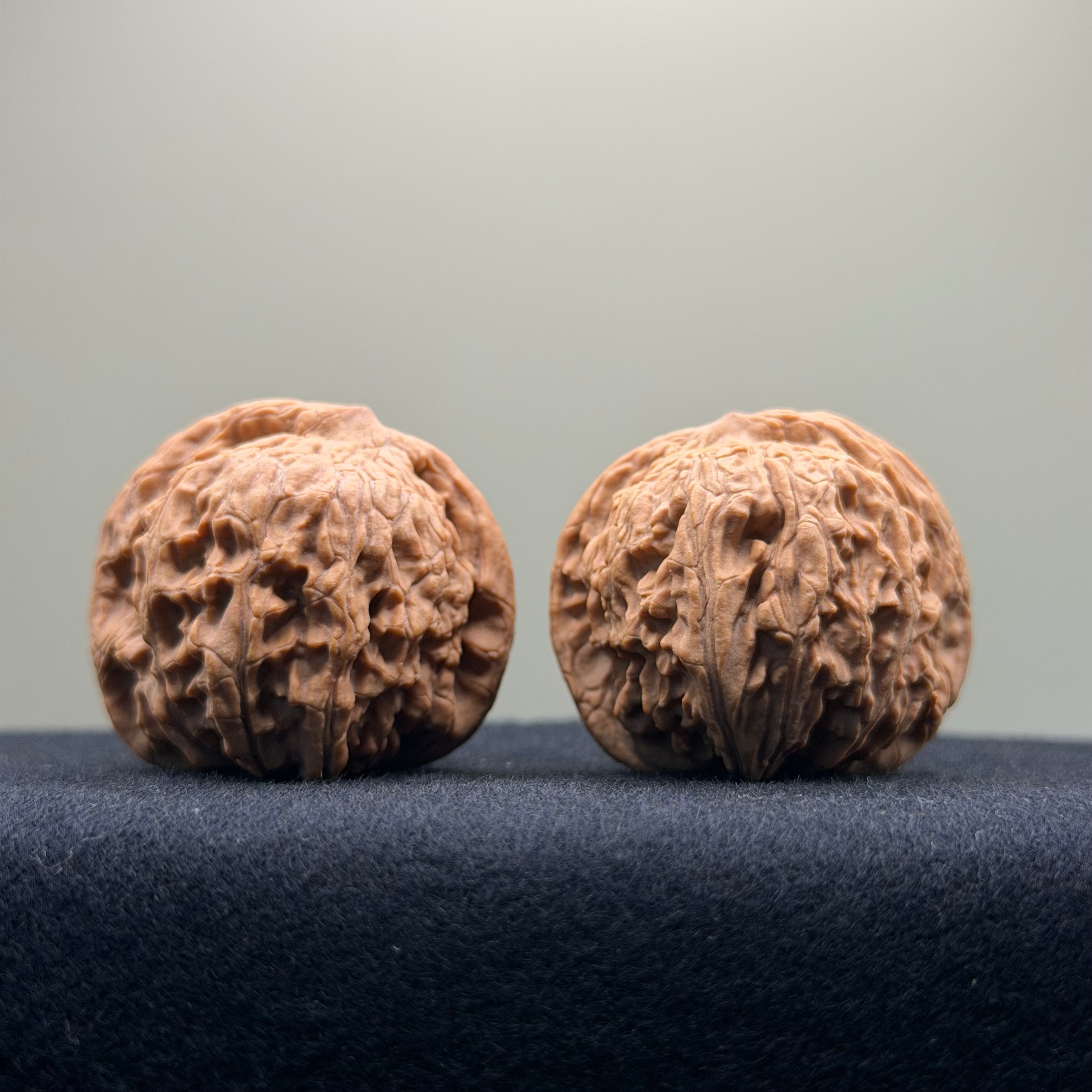 Red Lion Wenwan Walnut · 38mm · Natural · Entry Ritual