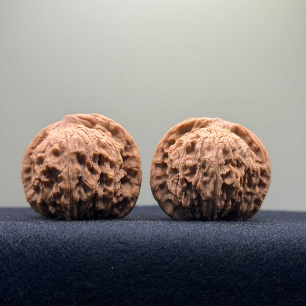 Red Lion Wenwan Walnut · 38mm · Natural · Entry Ritual