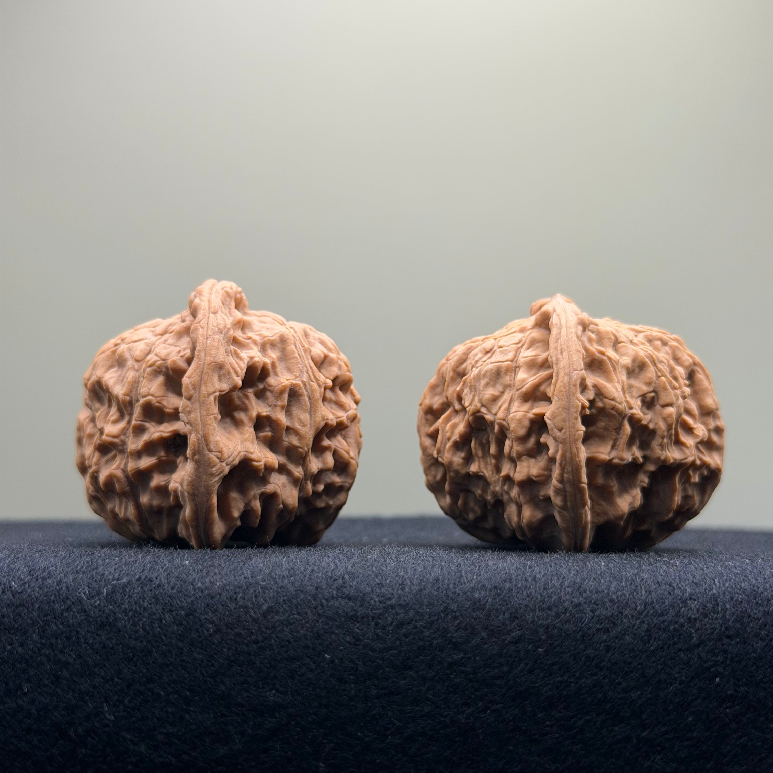Red Lion Wenwan Walnut · 38mm · Natural · Entry Ritual