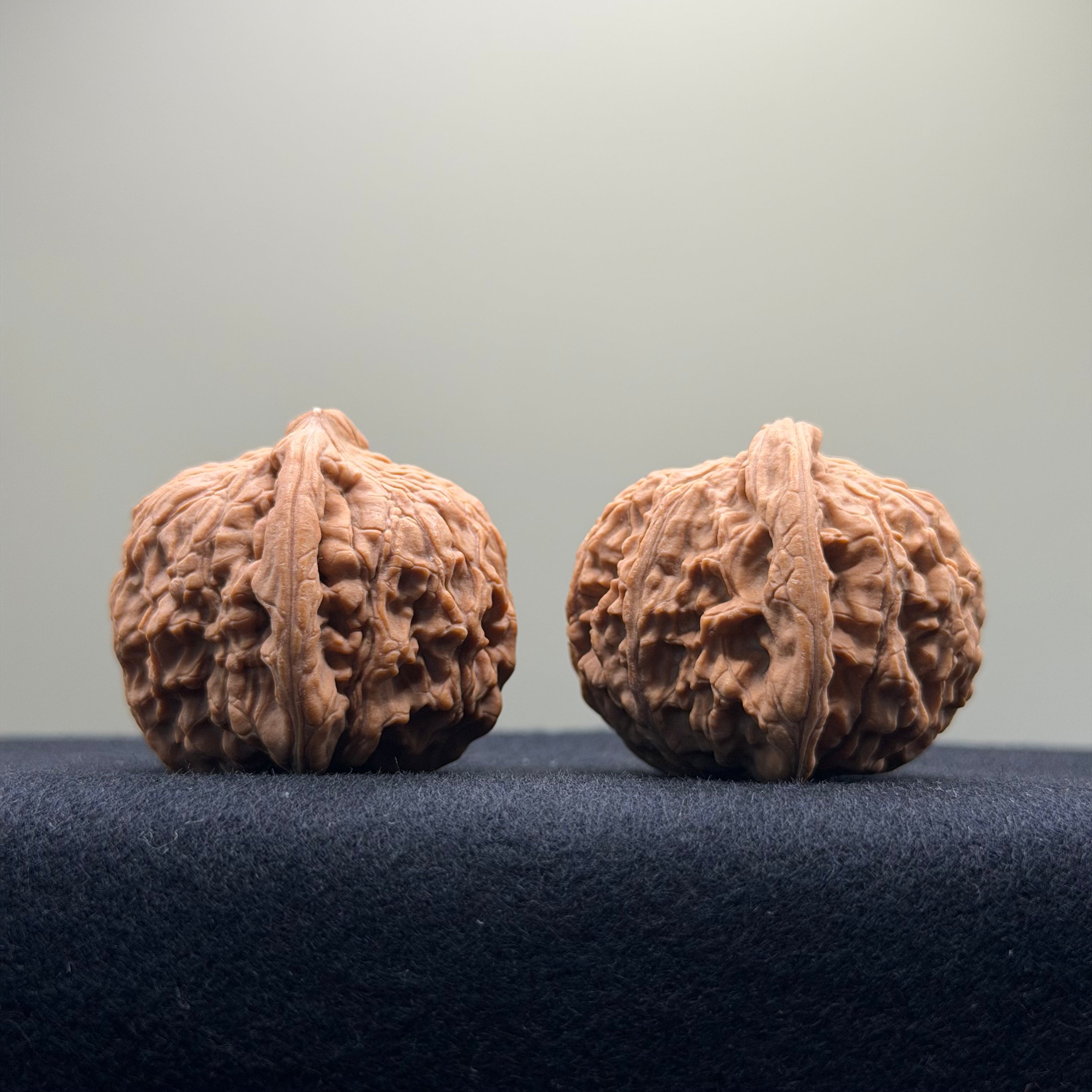 Red Lion Wenwan Walnut · 38mm · Natural · Entry Ritual