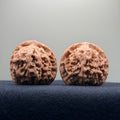 Red Lion Wenwan Walnut · 39mm · Natural · Entry Ritual