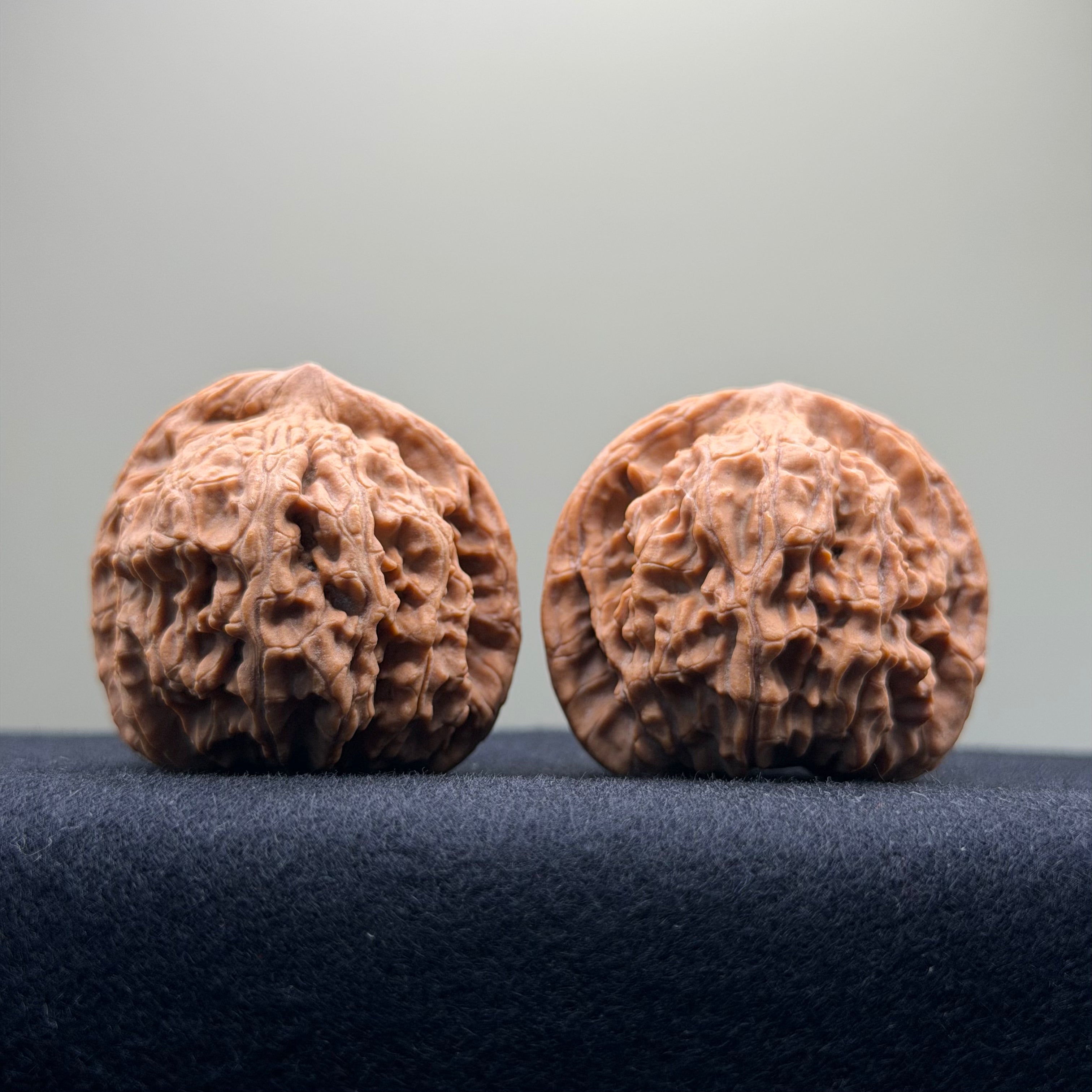 Red Lion Wenwan Walnut · 39mm · Natural · Entry Ritual