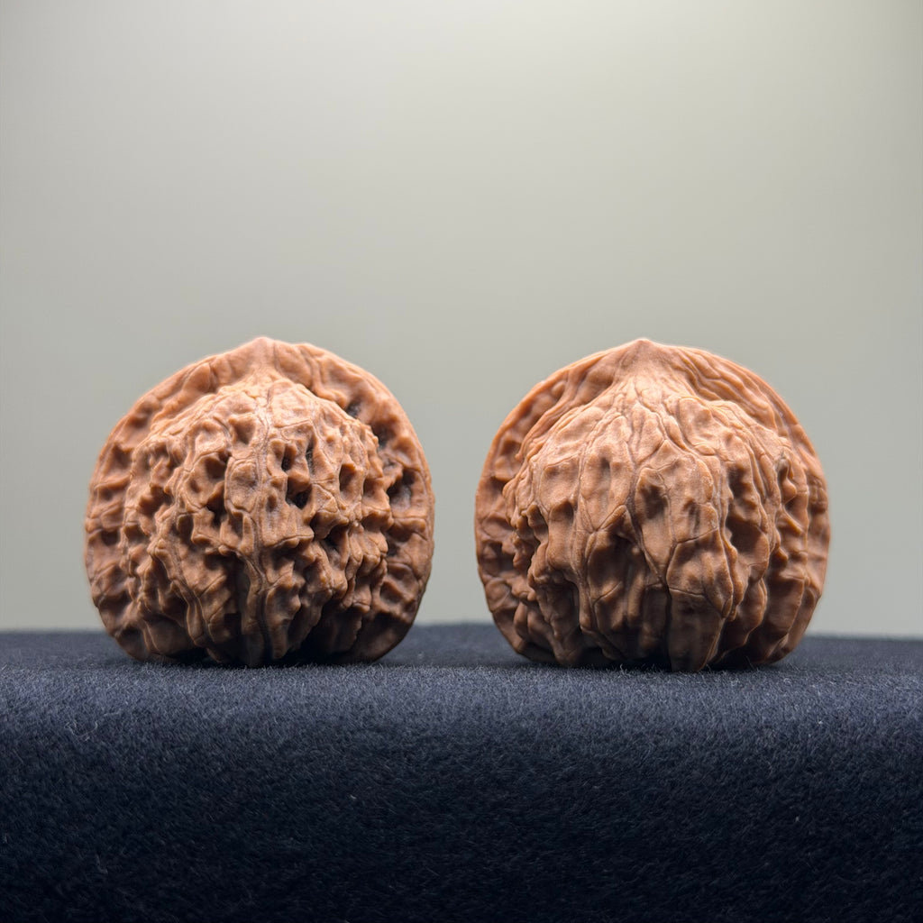 Red Lion Wenwan Walnut · 39mm · Natural · Entry Ritual