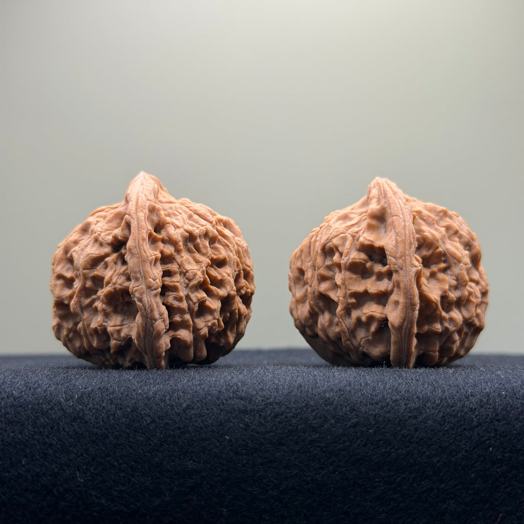 Red Lion Wenwan Walnut · 39mm · Natural · Entry Ritual