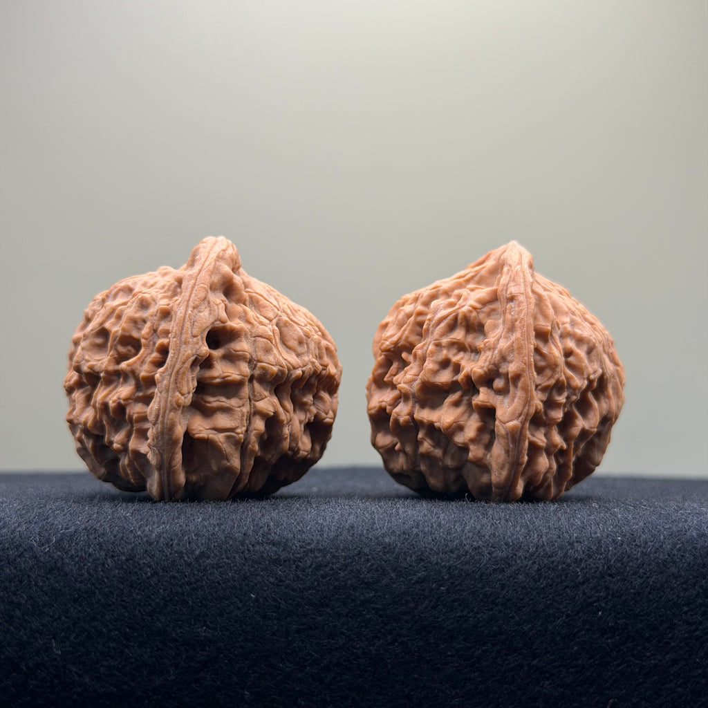 Red Lion Wenwan Walnut · 39mm · Natural · Entry Ritual