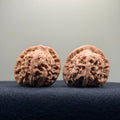 Red Lion Wenwan Walnut · 38mm · Natural · Entry Ritual