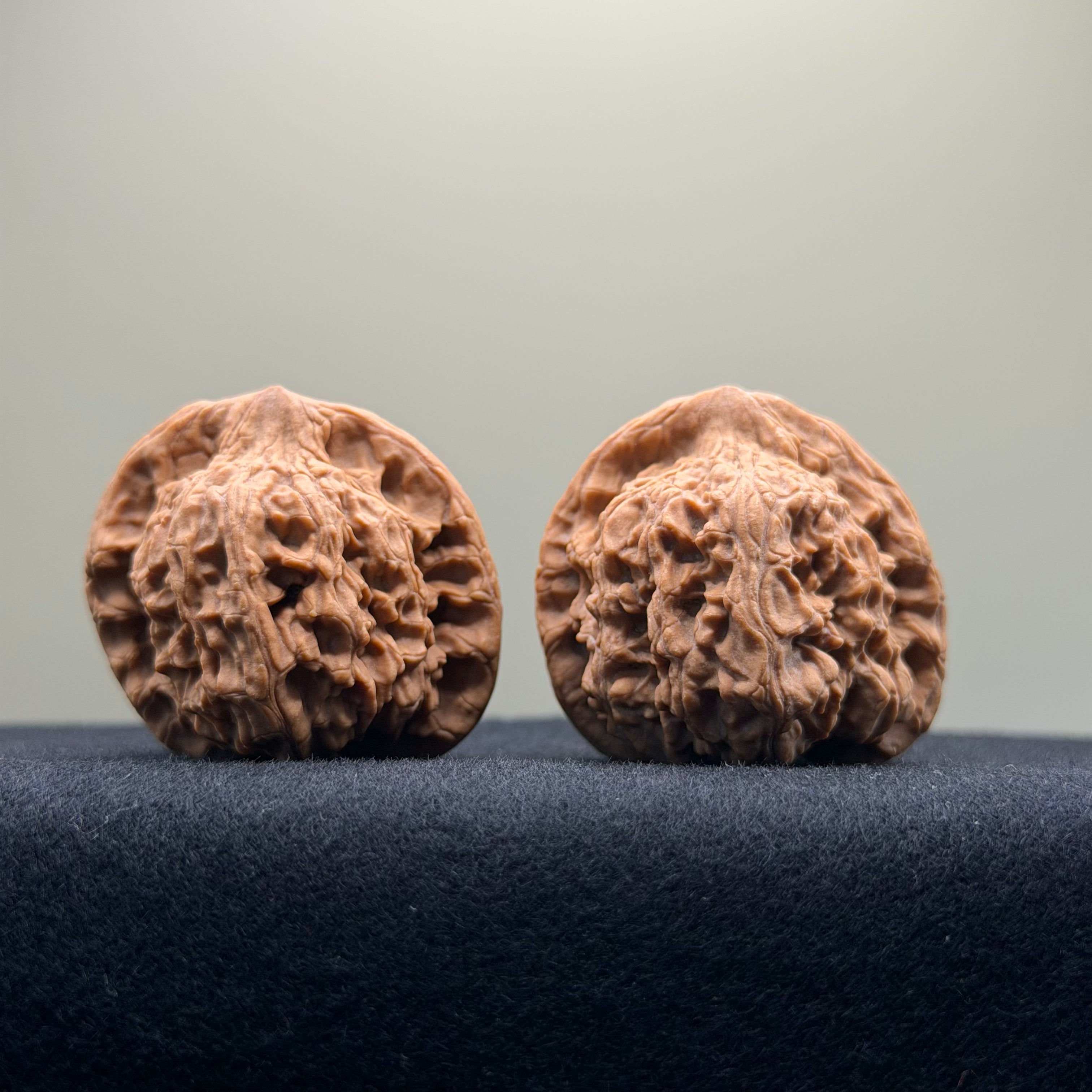 Red Lion Wenwan Walnut · 38mm · Natural · Entry Ritual