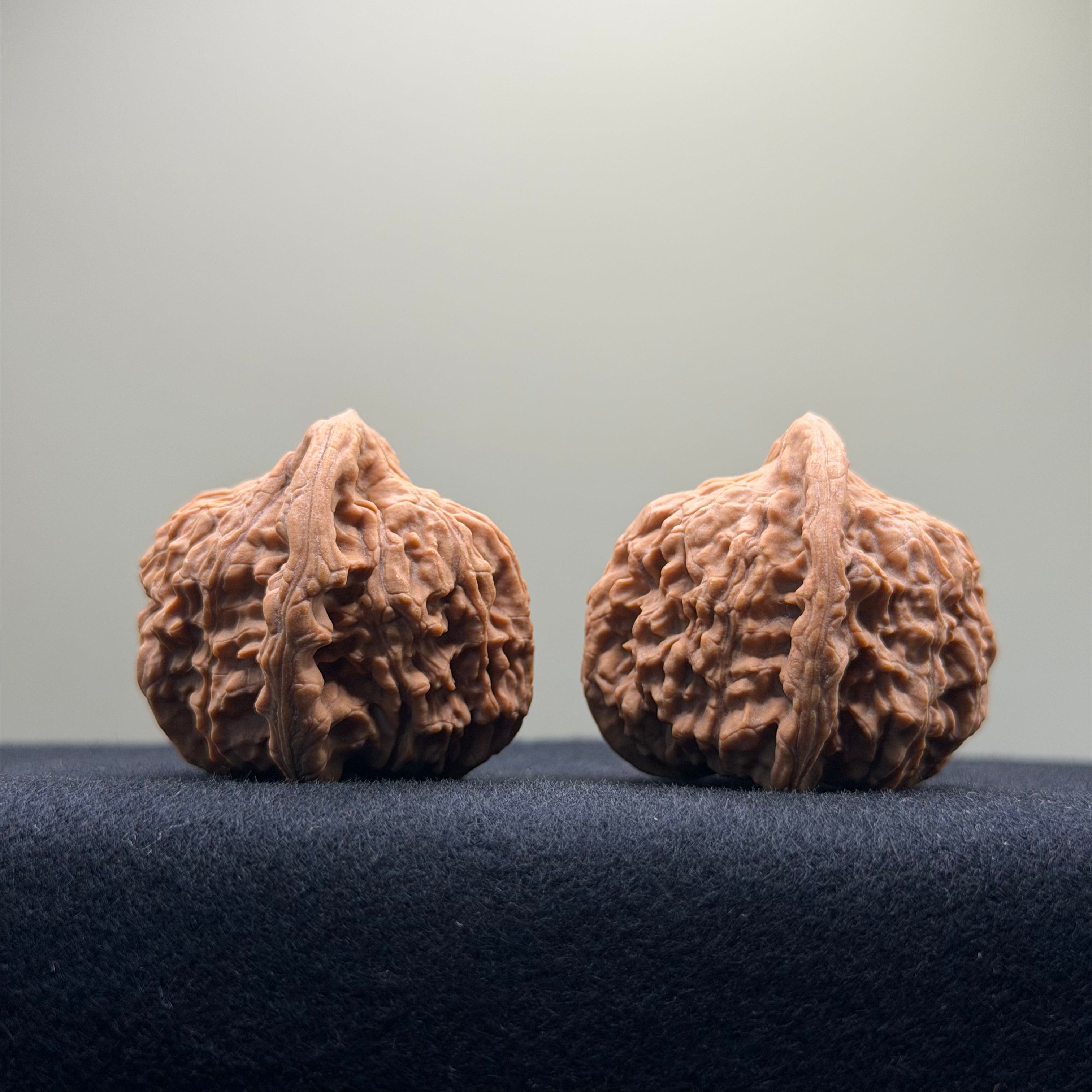 Red Lion Wenwan Walnut · 38mm · Natural · Entry Ritual