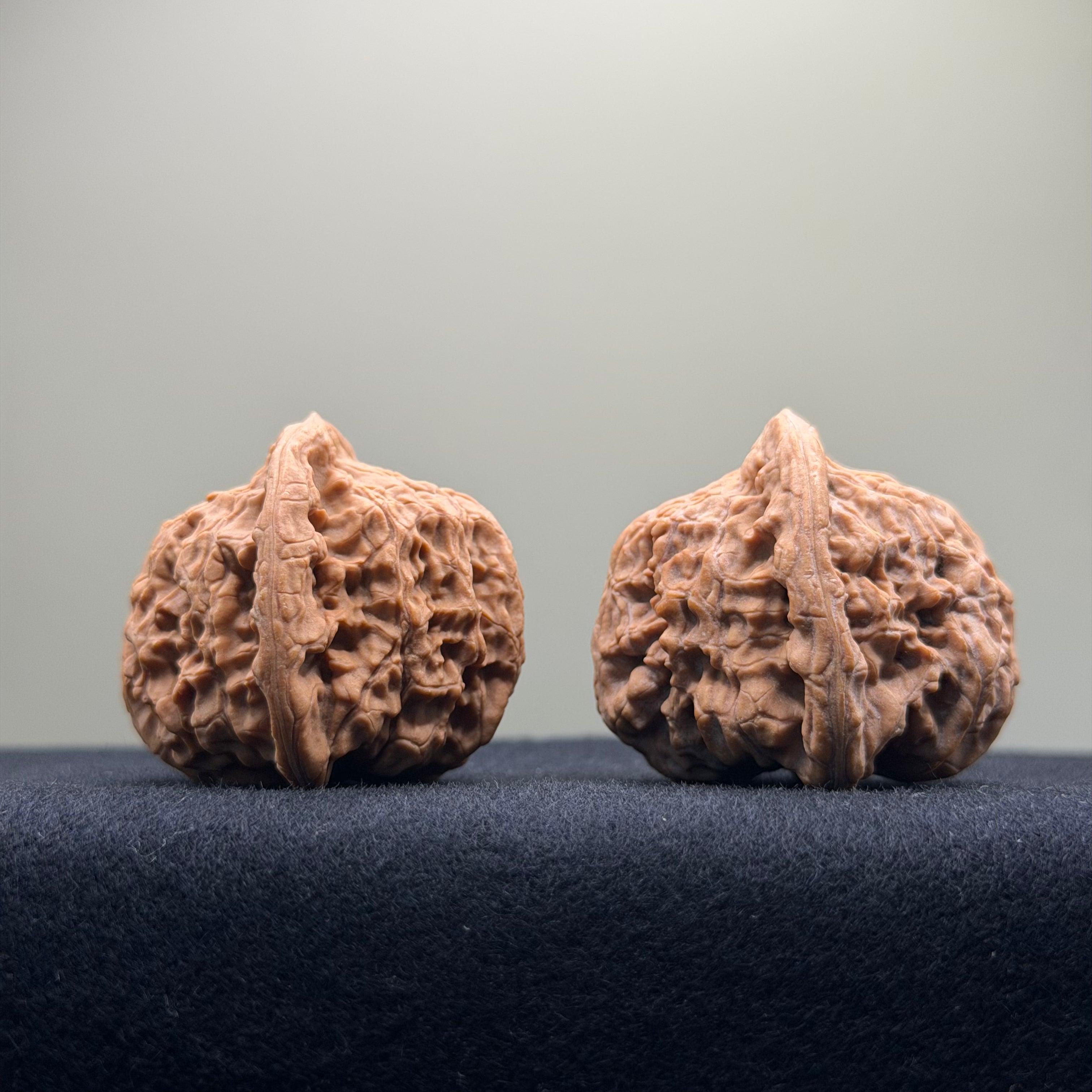 Red Lion Wenwan Walnut · 38mm · Natural · Entry Ritual