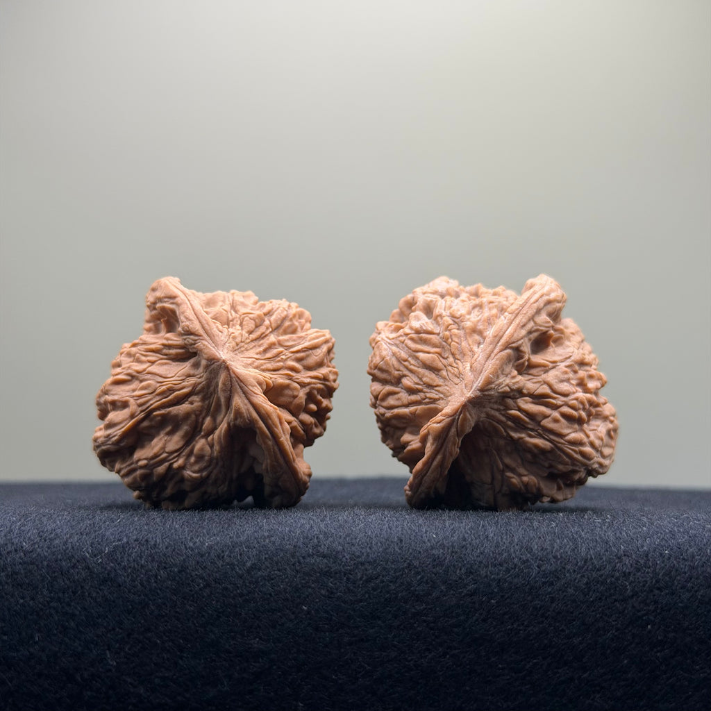 Red Lion Wenwan Walnut · 38mm · Natural · Entry Ritual